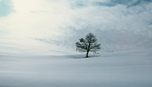 Franco Fontana - Landscape