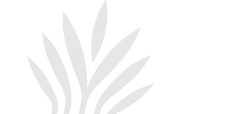 Economia mondiale e febbre delle borse