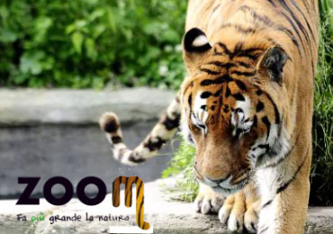 Ersel porta la savana a Pinerolo